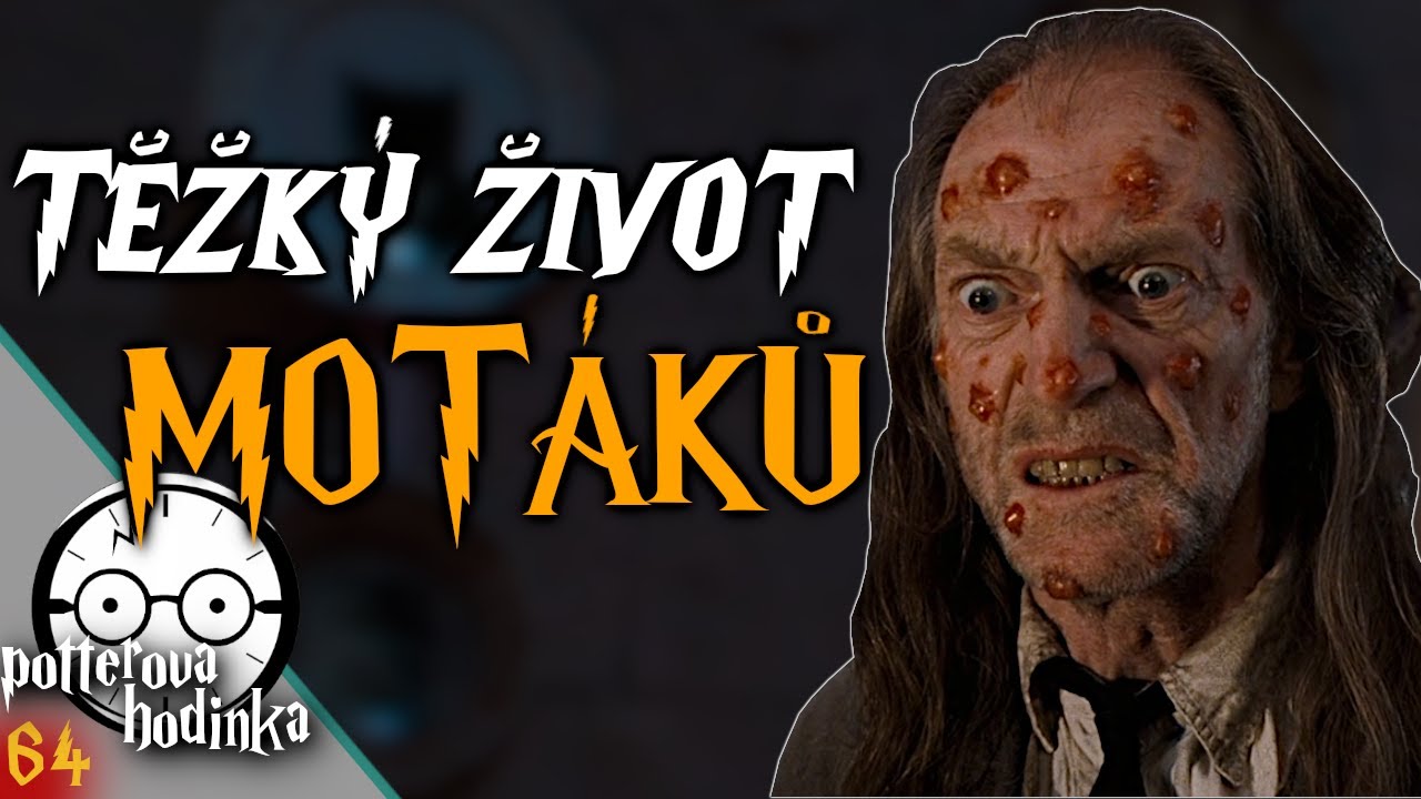 TĚŽKÝ ŽIVOT MOTÁKŮ VE SVĚTĚ ČAR A KOUZEL [Harry Potter]