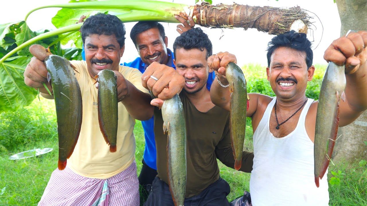 বাঙালির সেরা স্বাদের মান কচু দিয়ে শিঙি মাছের রান্না | Bengali famous Mankochu & Singi fish curry