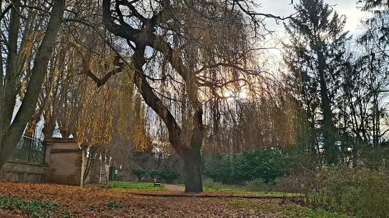 Saint Valentin - Mattéo Joffin