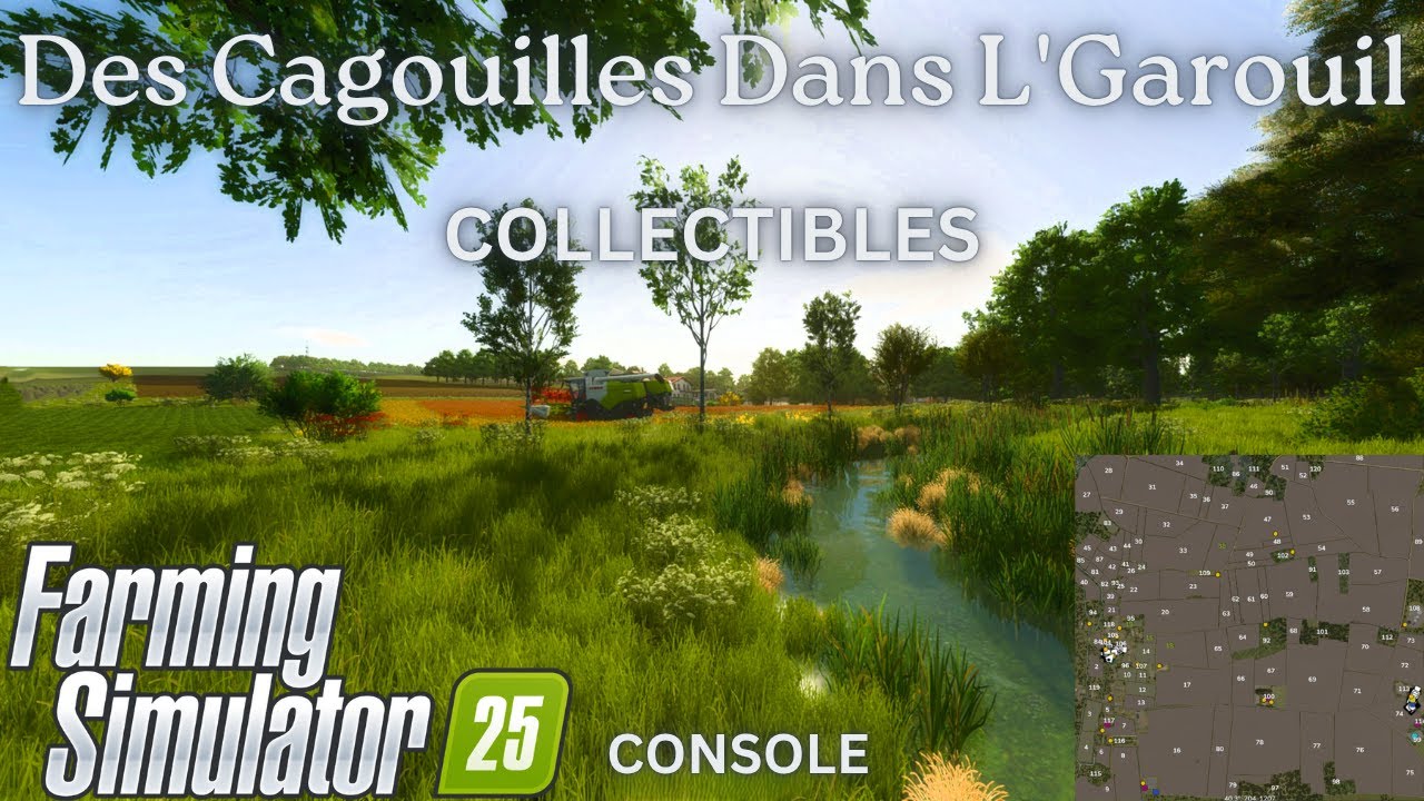 ALL 20 COLLECTIBLES | Des Cagouilles Dans L'Garouil | FS25 | Console