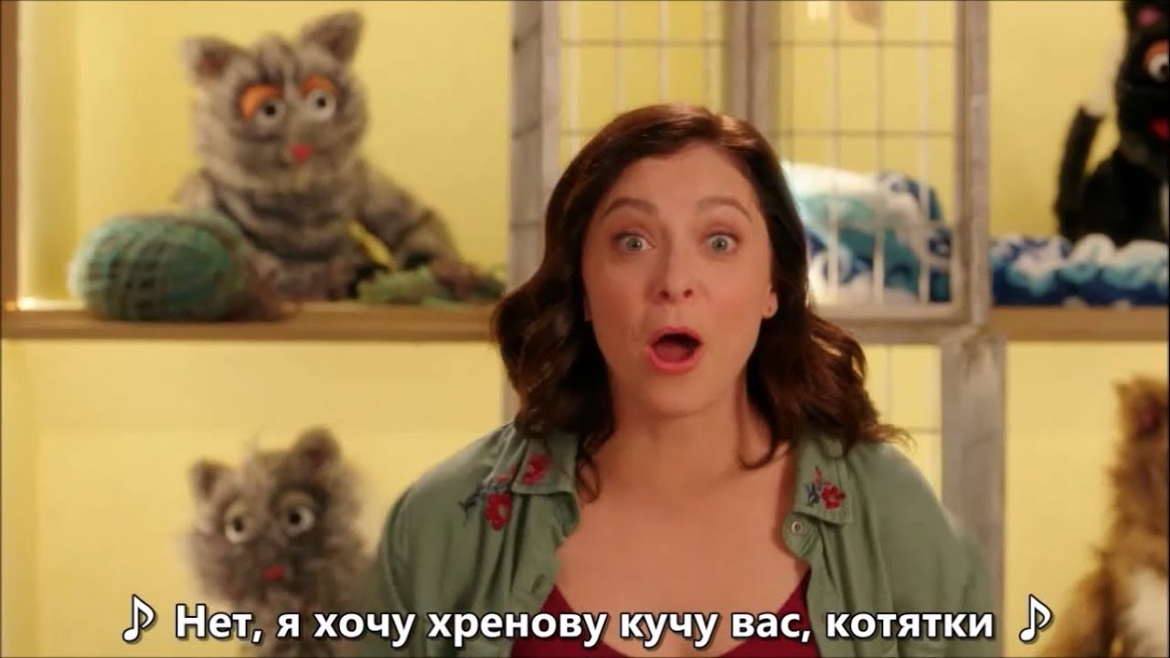 Buttload Of Cats [rus sub]