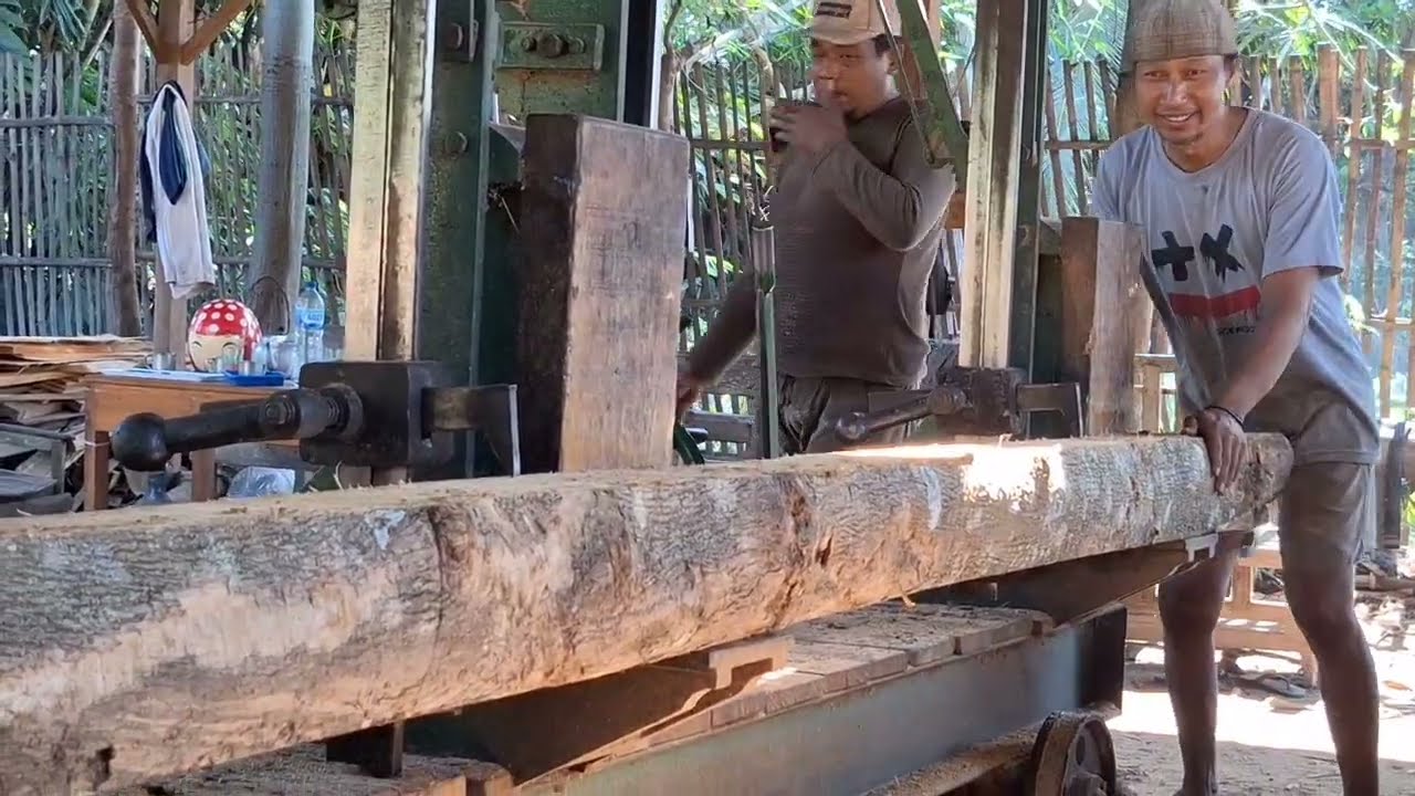 Teak wood loging processs at the sawmill 