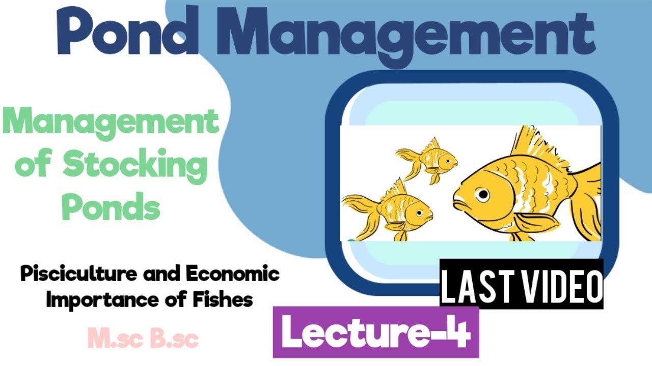L-4 Stocking and Post Stocking Management-Feeding,Thinning and Harvesting|last Video