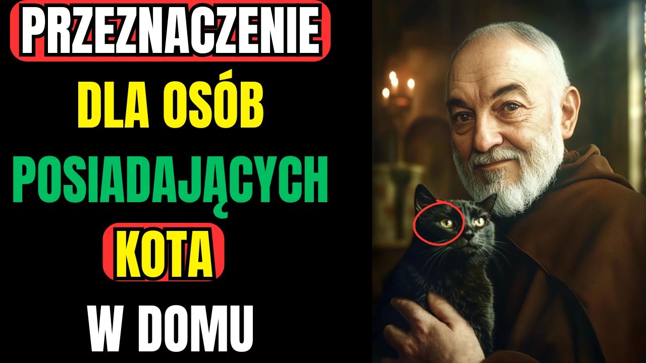 Ojciec Pio ujawnia los tych, kt&oacute;rzy mają koty w domu | Odkryj to w tym filmie!