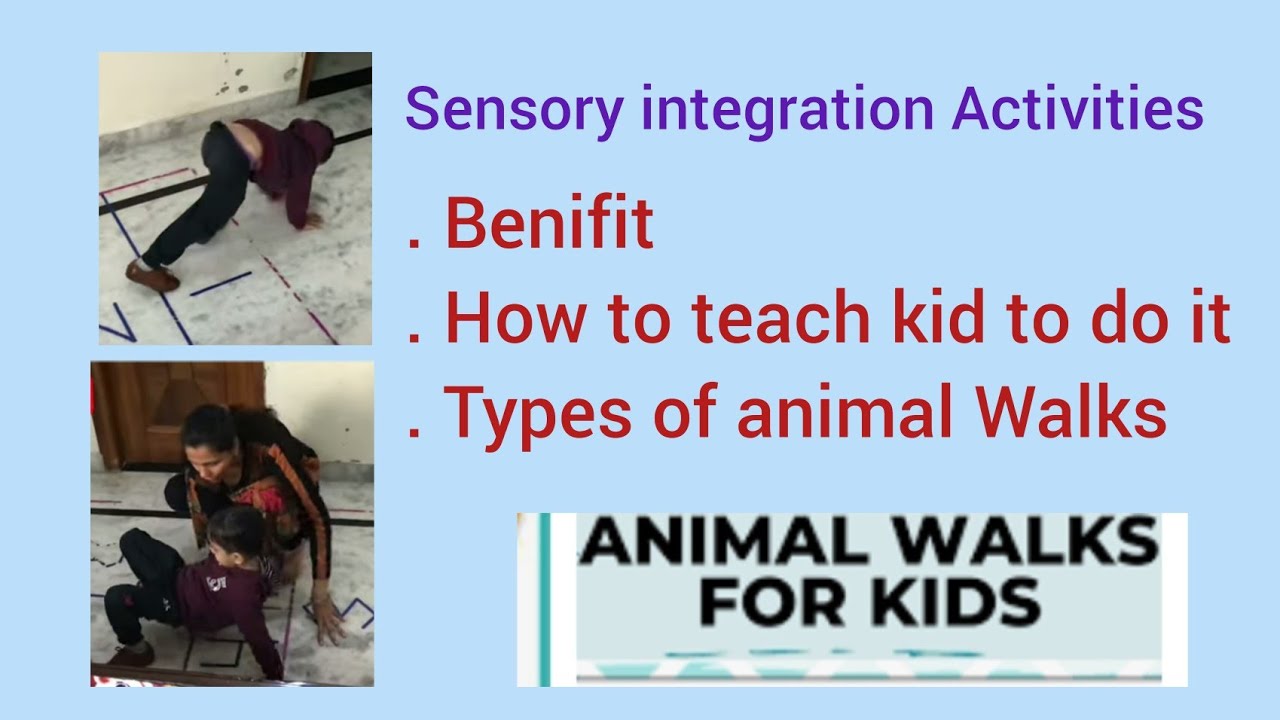 5 animal walks and how to do them?How to do sensory integration activities?