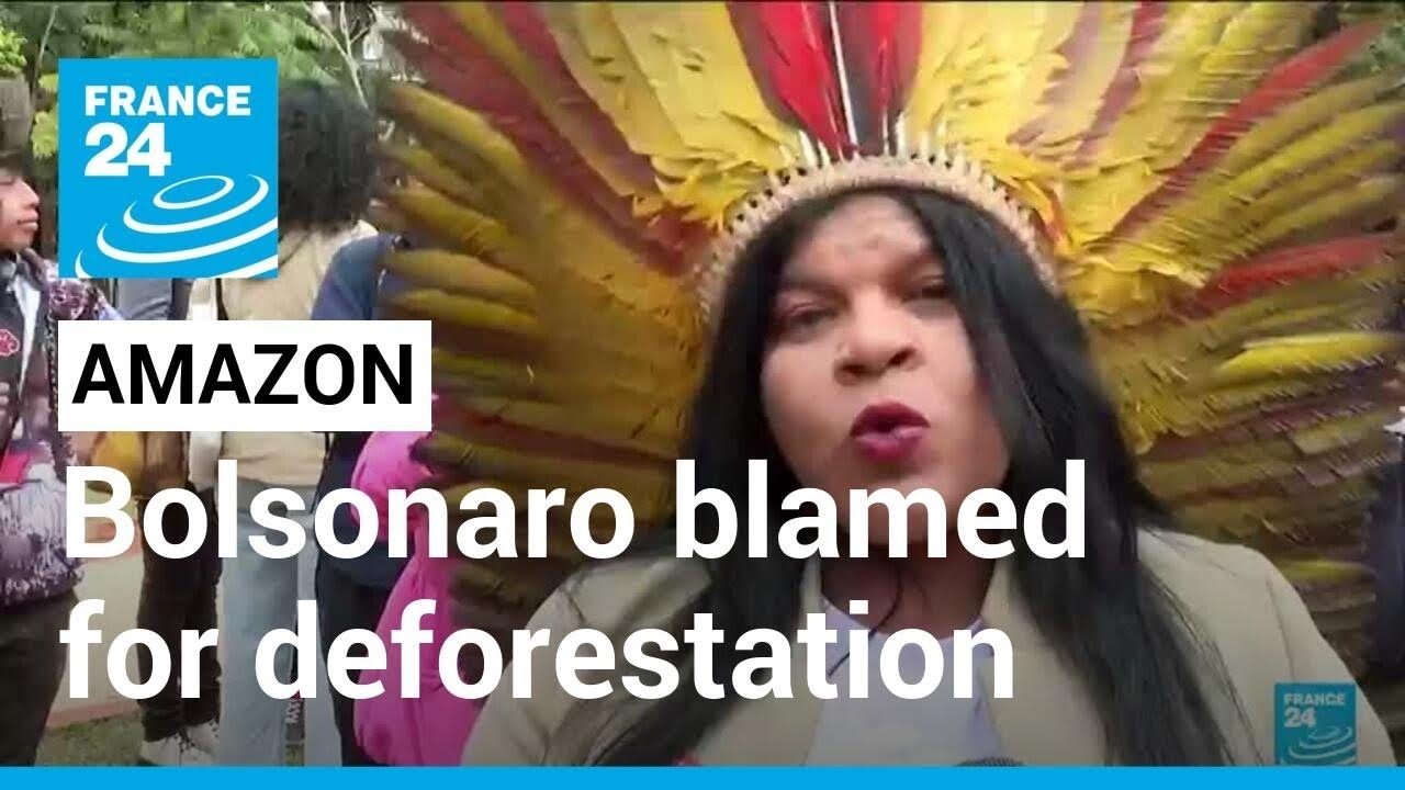 NGO, Indigenous leaders blame Bolsonaro for Amazon skyrocketing deforestation &bull; FRANCE 24 English