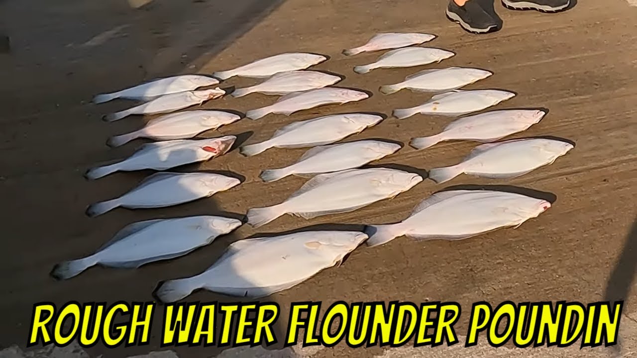 Jigging for FLOUNDER in Rough Water (Real World Flounder fishing) #flounderfishing #flounder