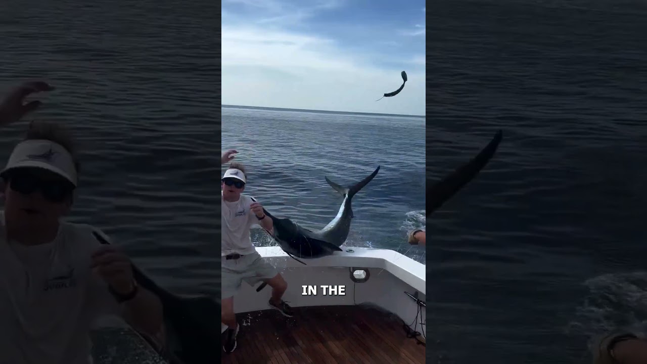SwordFish Almost Takes Mans Life! 😱🐟