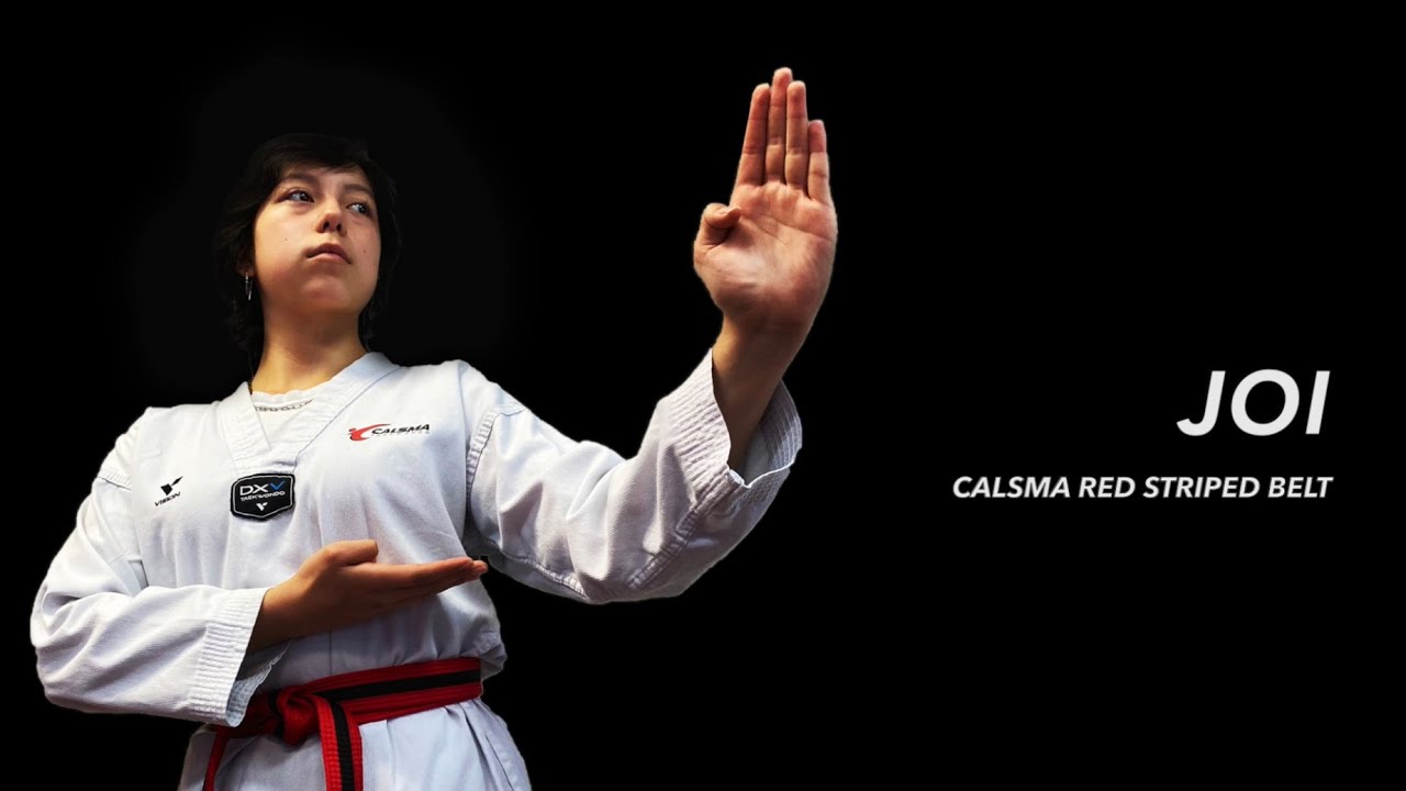 Journey to Black Belt | JOI