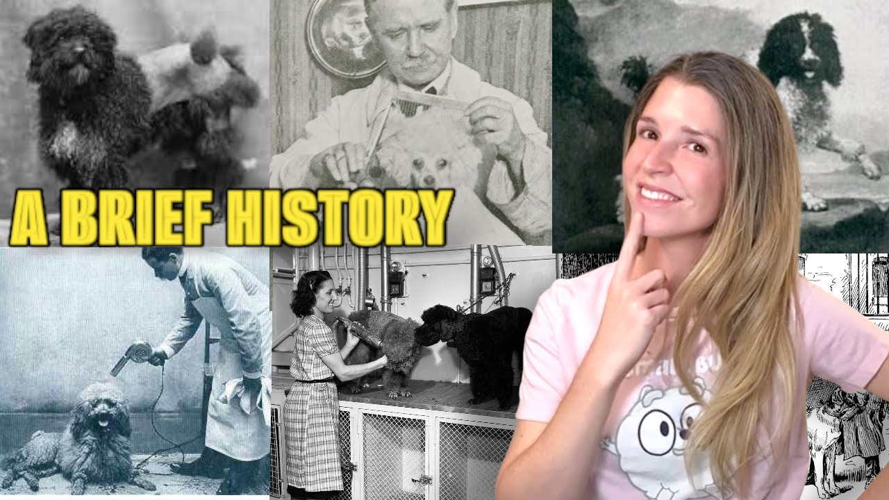The History of Dog Grooming