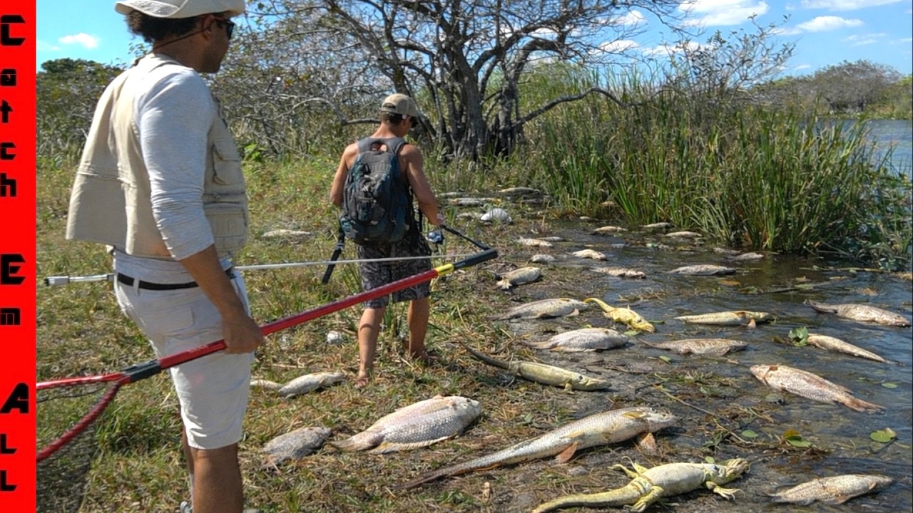 DEATH TOLL Continues from the EVERGLADES to PETS in the BACKYARD!