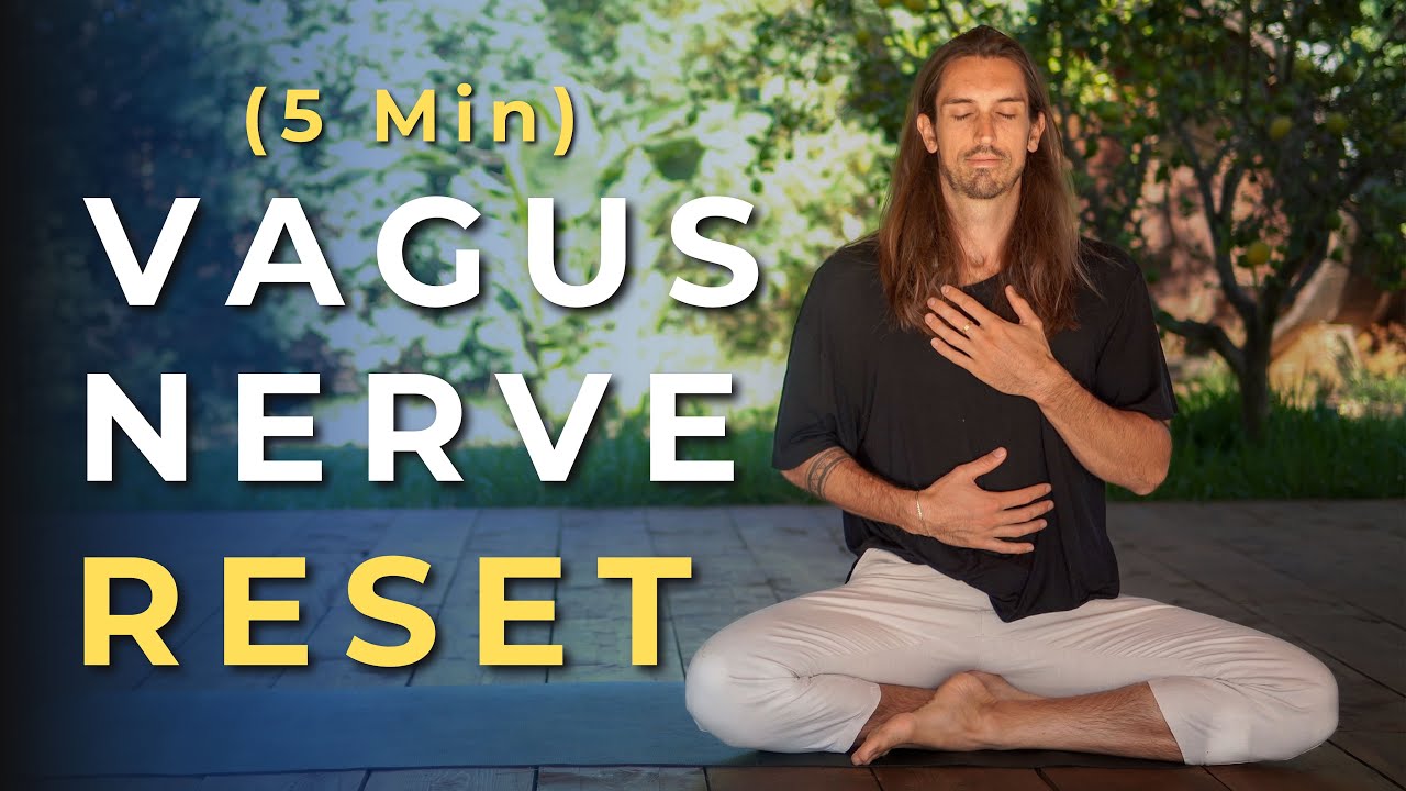 How To Reset Your Vagus Nerve | 5 Minute Guided Breathing To Calm Your Nervous System