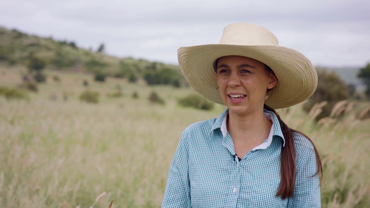 GRASS &ndash; better land management