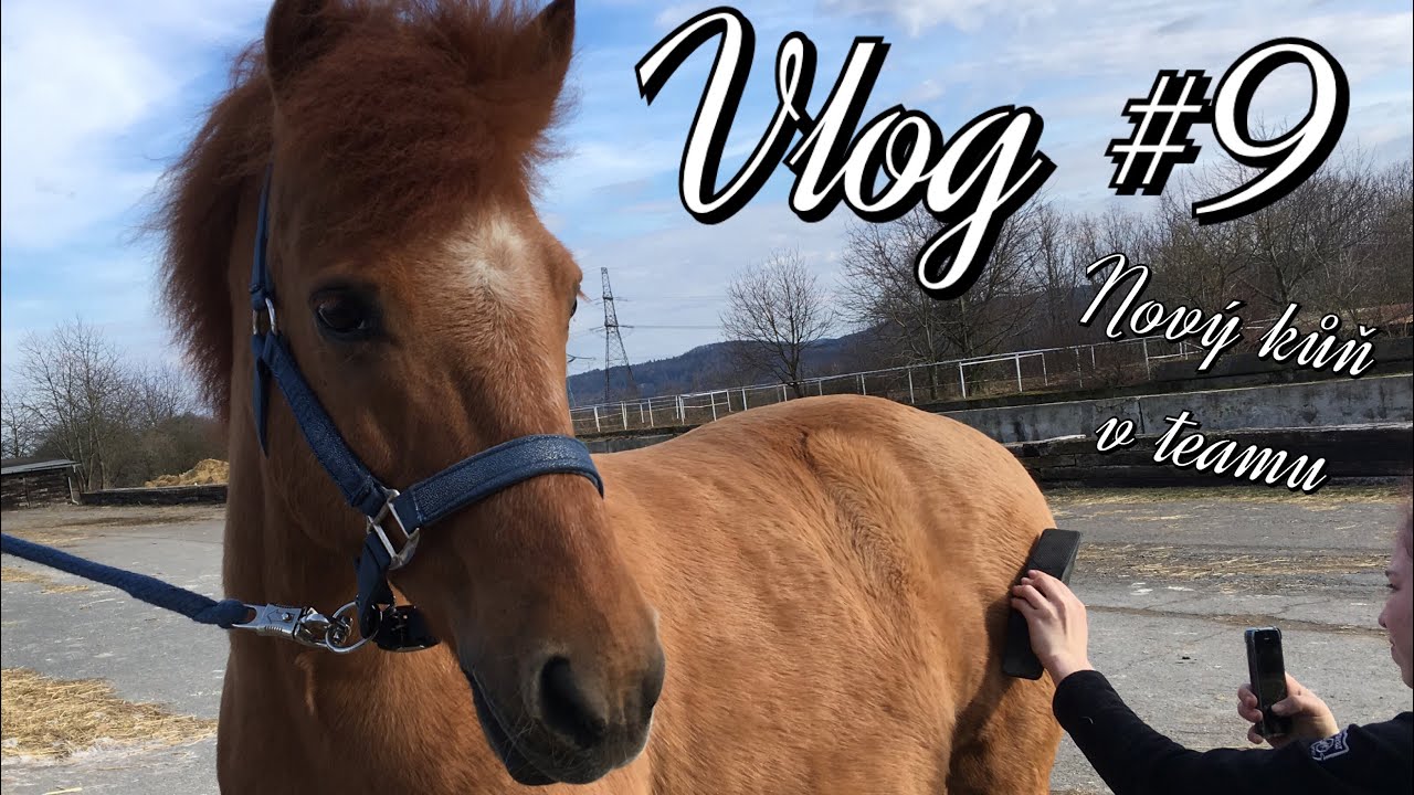 Vlog #9 // Nový kůň!