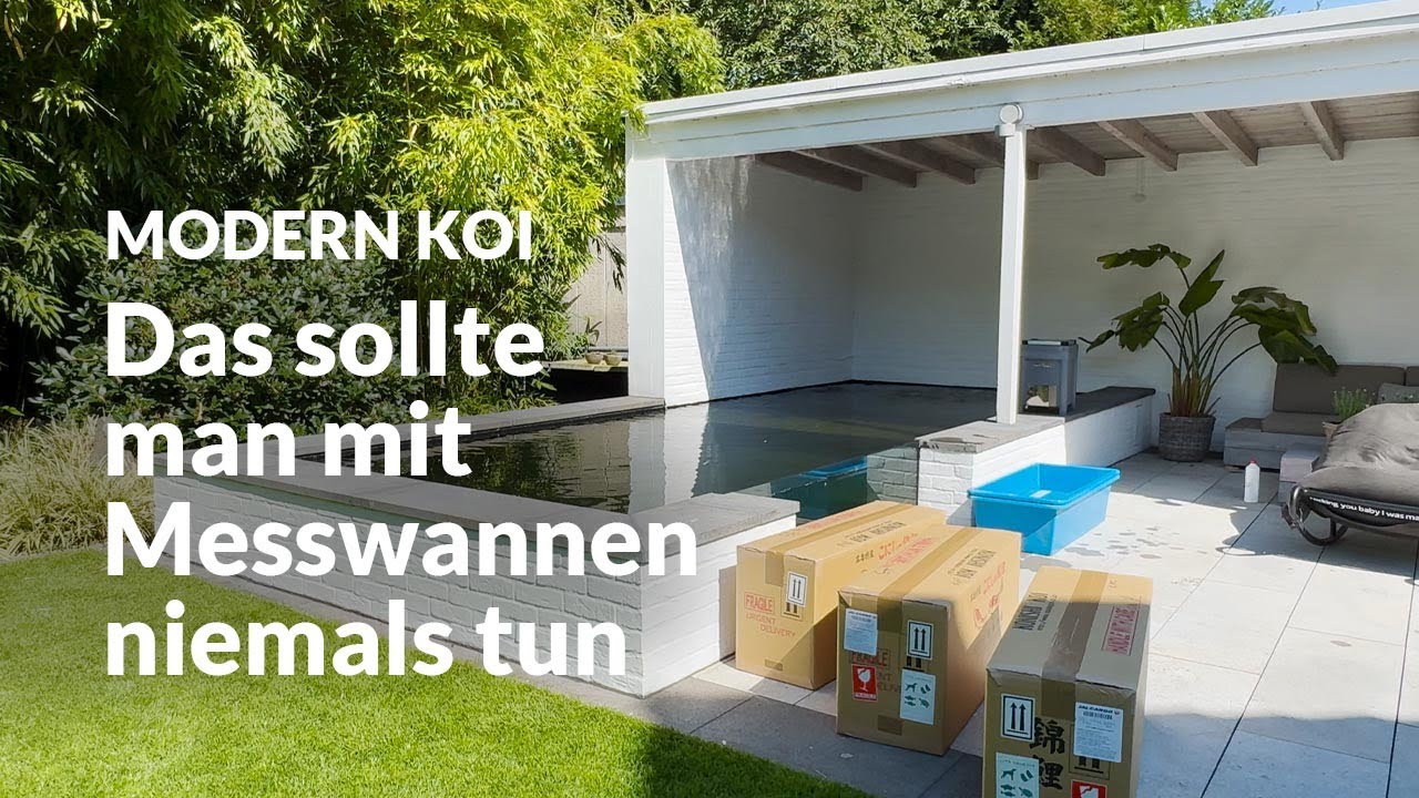 Daniel und Markus bekommen einige neue Koi | Modern Koi Blog #7107