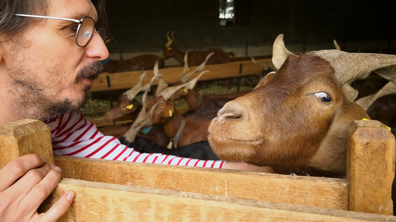 ERWAN FAIT DU FROMAGE DANS LES ALPILLES  😋