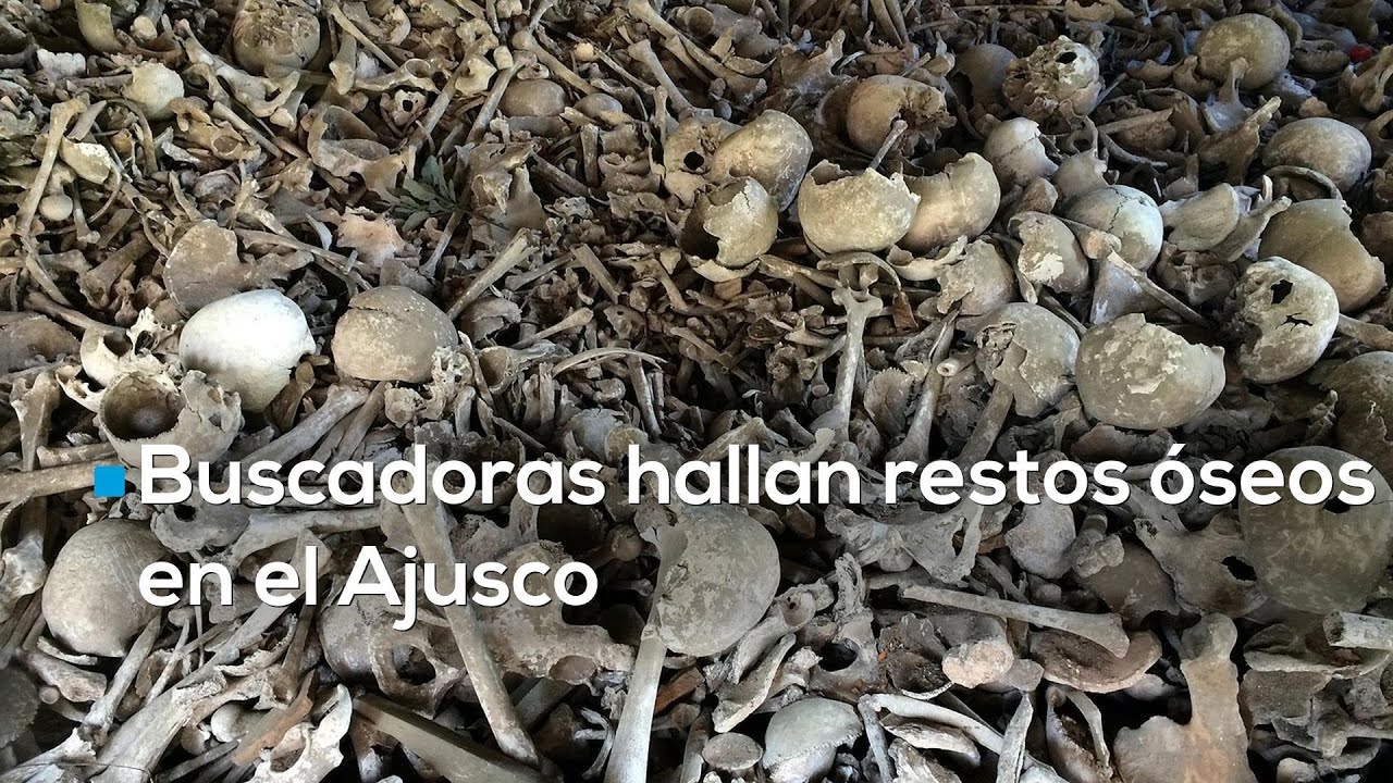 Madres buscadoras hallan restos humanos en el Ajusco | Vecino ya había denunciado y fue ignorado
