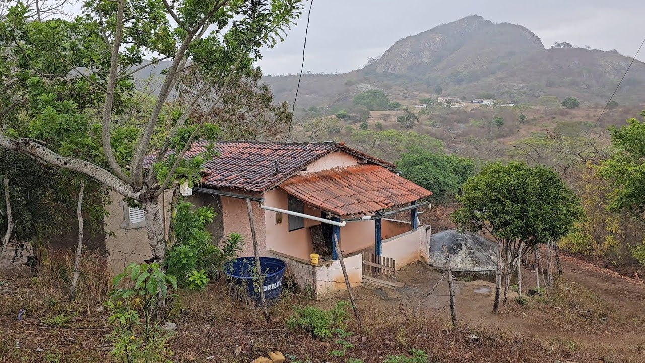 Como foi o nosso dia hoje aqui em casa 