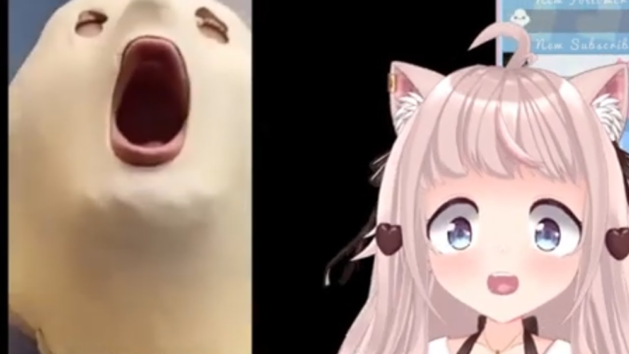 These are unexpected | VTuber Fuwa reacts to UNEXPECTED MEMES COMPILATION