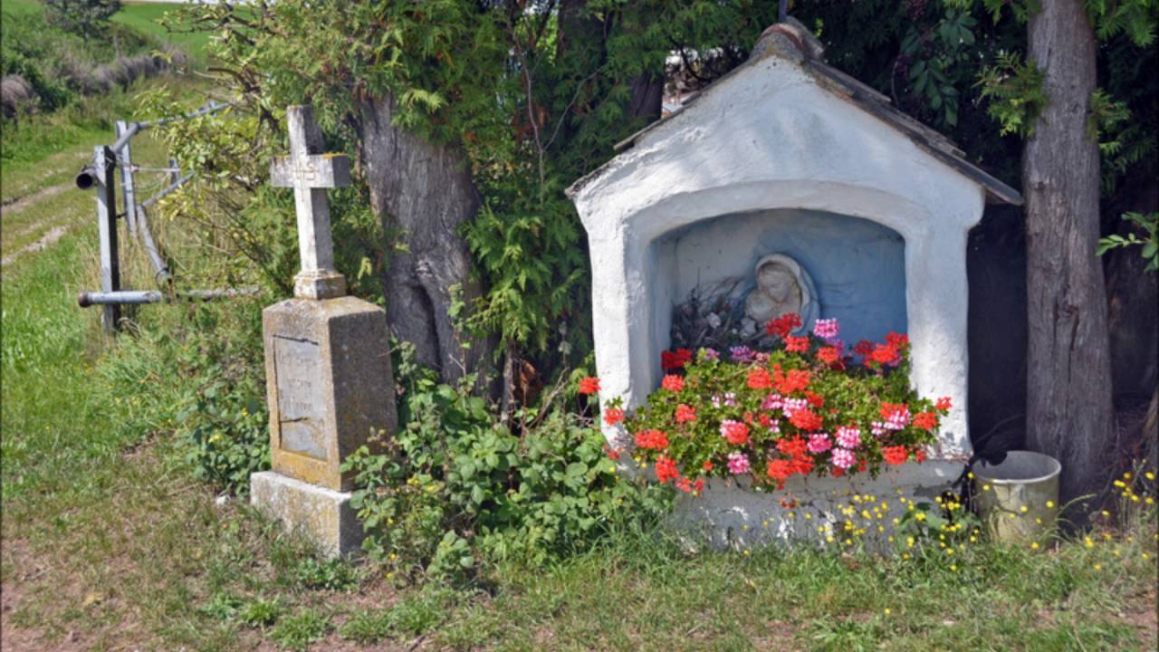 Alpenvorland: rund um das Wurzacher Ried