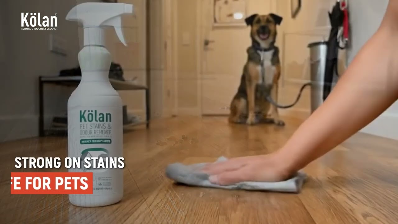 How to Clean Muddy Paw Prints & Pet Stains Easily 