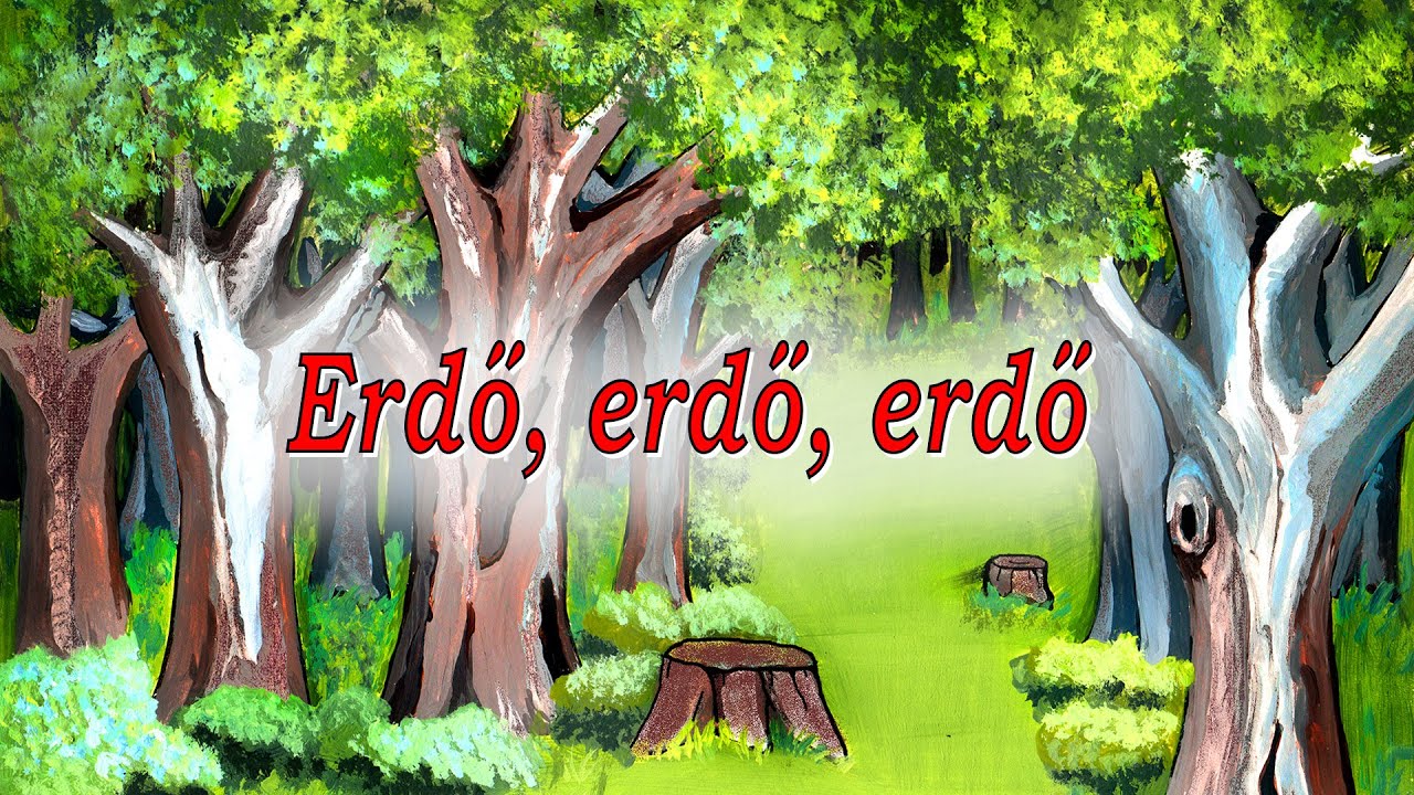 Erdő, erdő, erdő