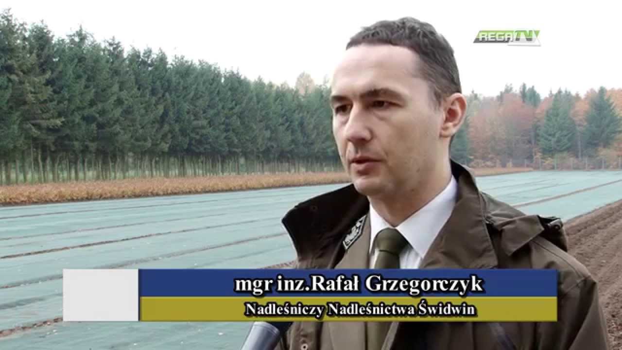 NADLEŚNICTWO ŚWIDWIN.