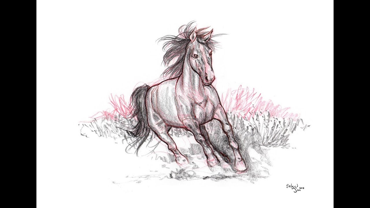 How I Draw A Horse, Despite Aphantasia.