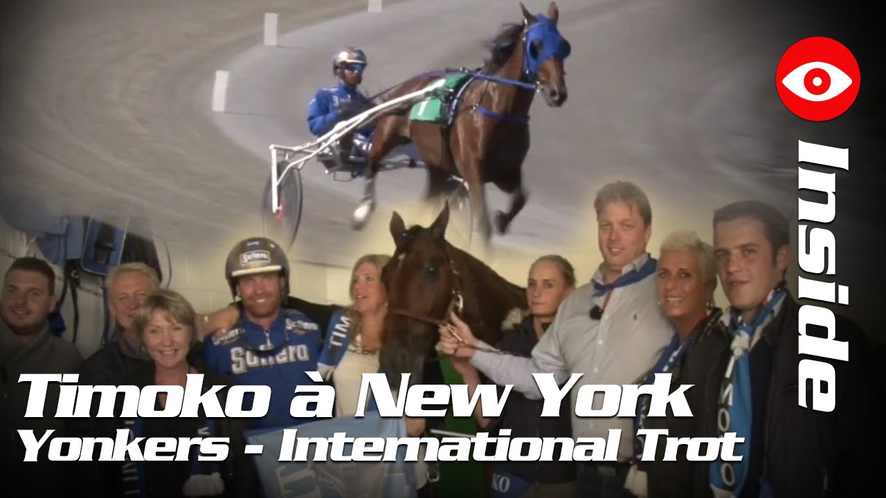 Les Aventures de Timoko à New York #INSIDE