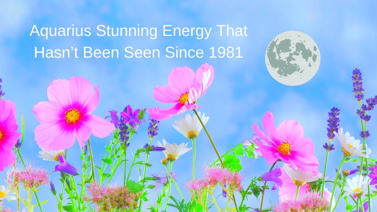 Aquarius Stunning Energy That Hasn’t Been Seen Since 1981 ~ Tarot Reading