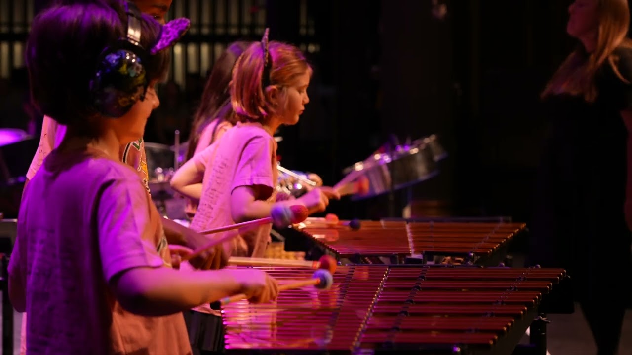 You Need to Calm Down ~ The Louisville Leopard Percussionists