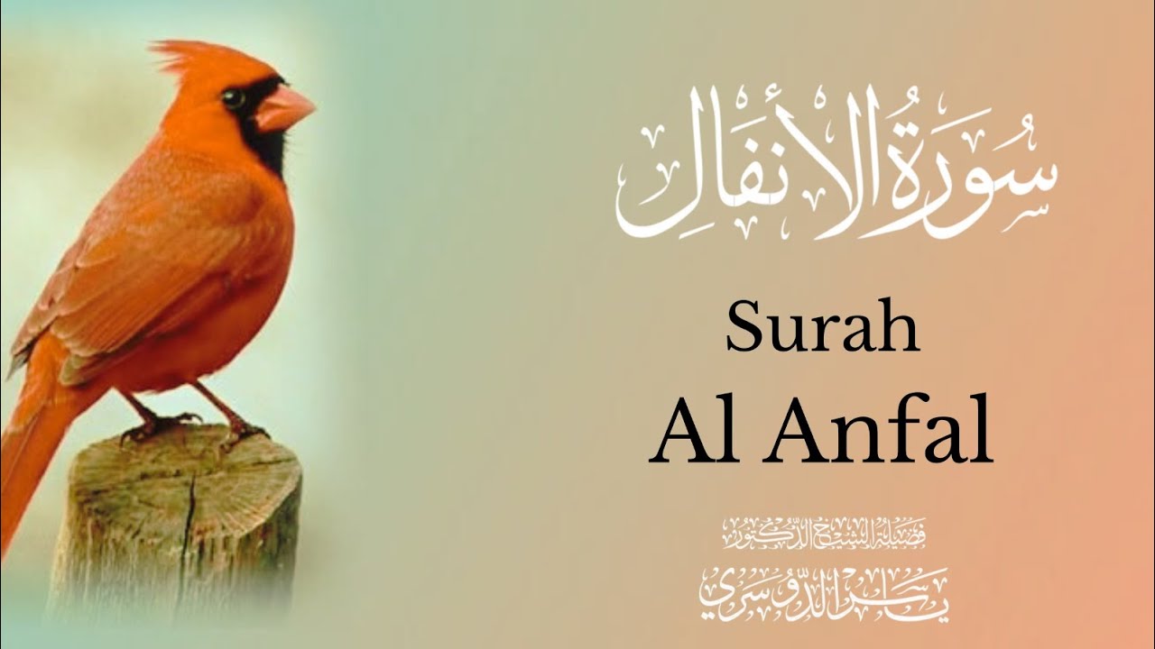 Surah Al-Anfal (The Spoils of War)- peaceful Quran Recitation by Yasser Al-Dosari. 
