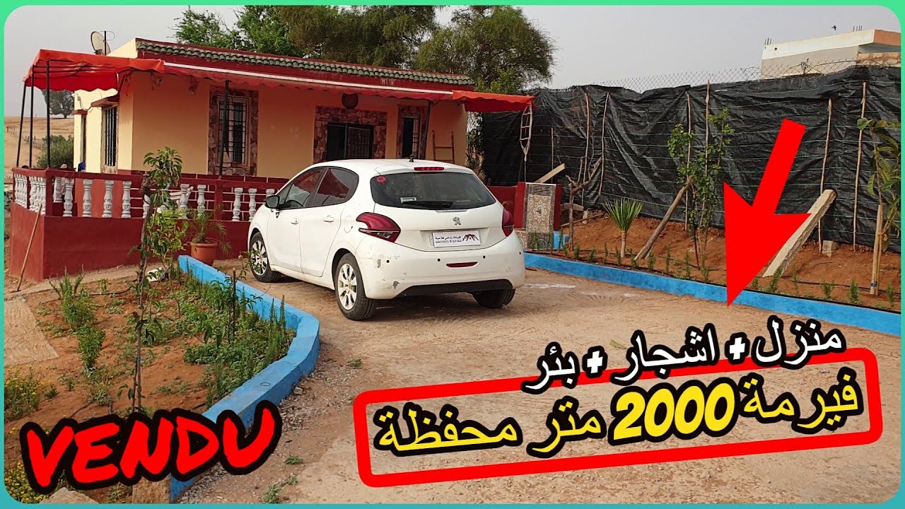 ✨ فرصة لمحبي الفيرمات الصغيرة 2000 متر محفظة بمنزل جميل واشجار الفواكه ✨ تيفلت