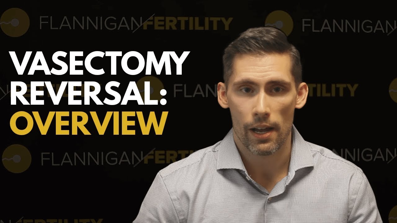 What YOU Need To Know About Vasectomy Reversals