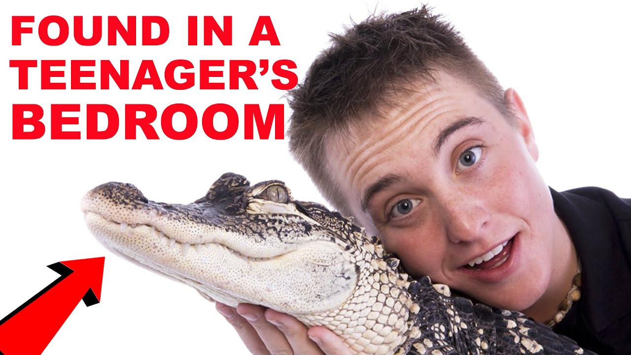 How I Ended Up With Two Pet Alligators!