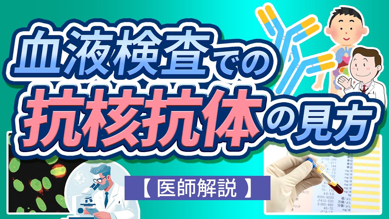 血液検査での抗核抗体の見方【医師解説】