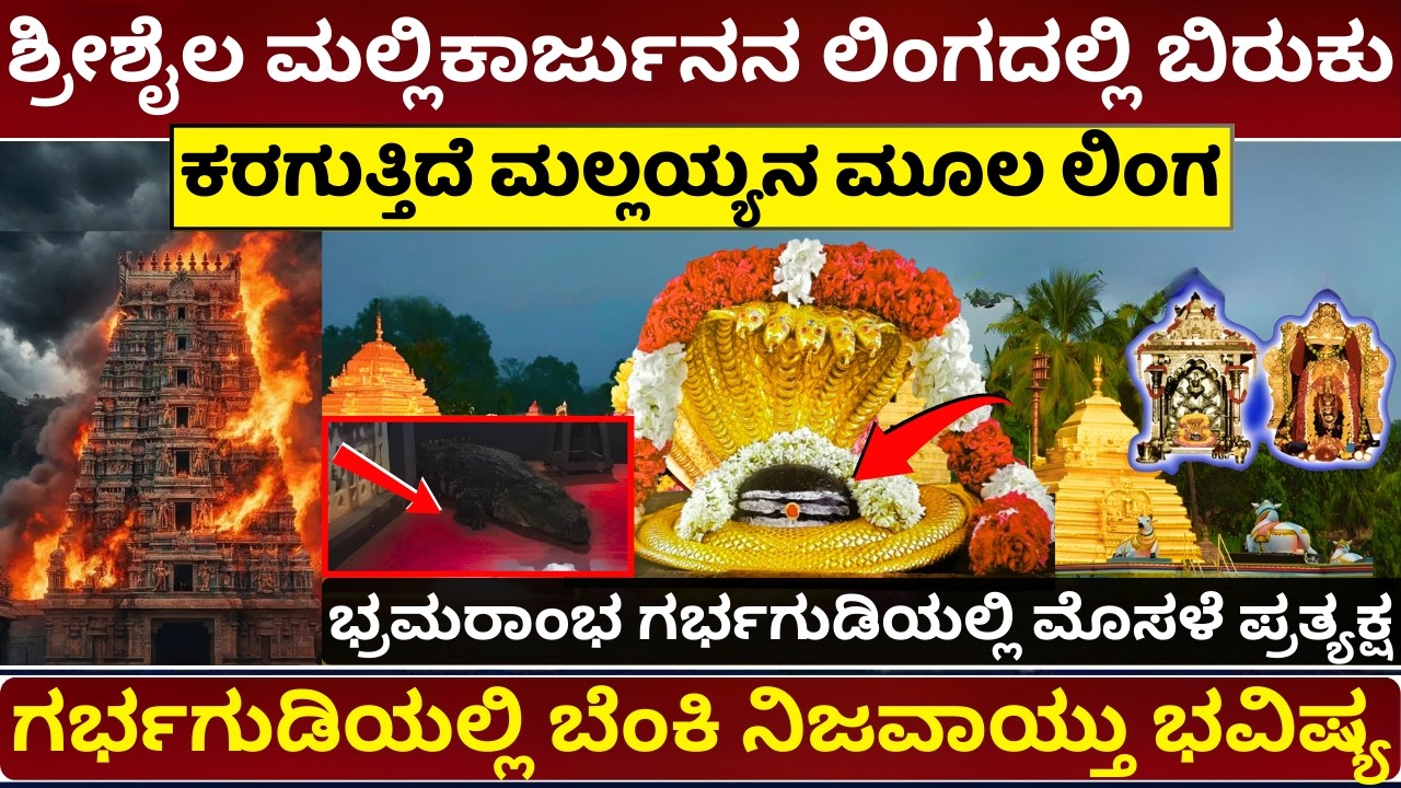ಶ್ರೀಶೈಲ ಮಲ್ಲಿಕಾರ್ಜುನನ ಲಿಂಗ ಕರಗ್ತಿದೆಯಾ| Sri sailam Mallikarjuna Temple Mystery #srisailam #Shivaratri