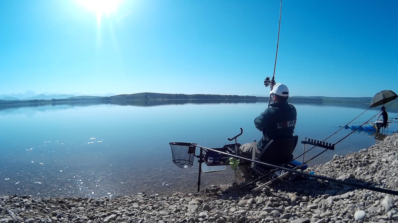 Pesca FEEDER de Carpas en Bornos ELLEVI ESPAÑA