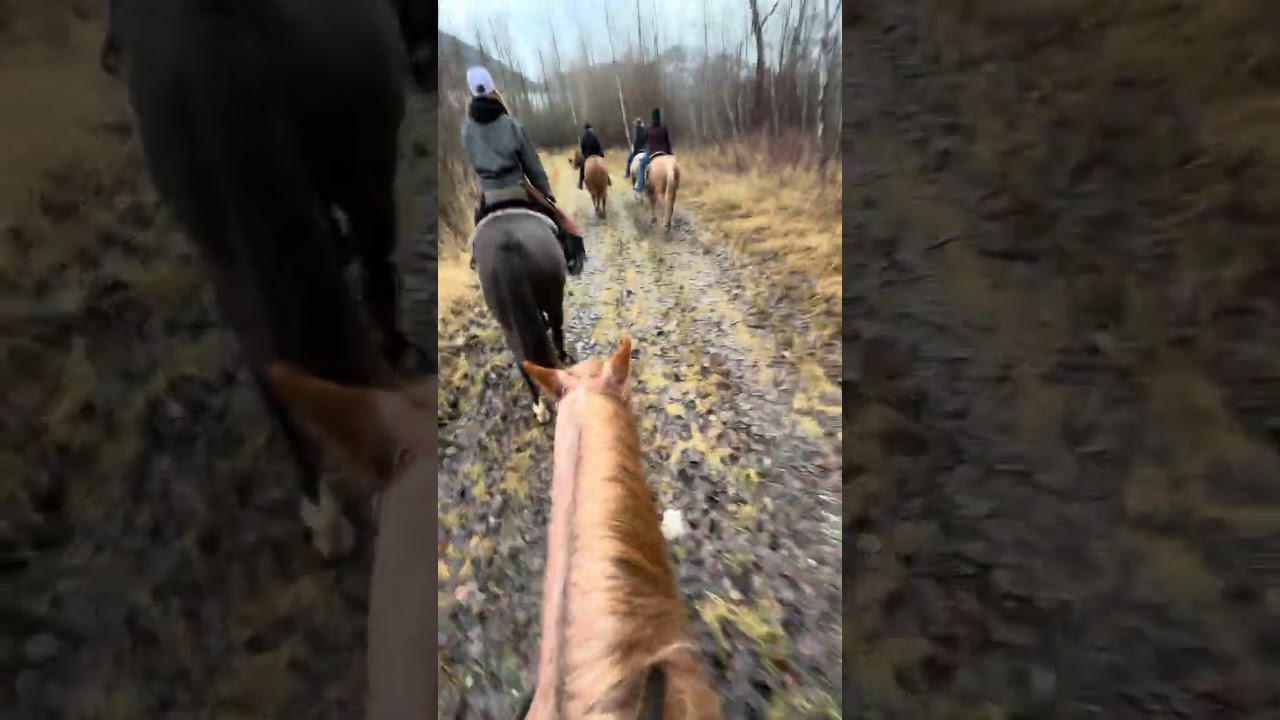 POV Trail Ride ASMR | Crunching Leaves & Hoofbeats