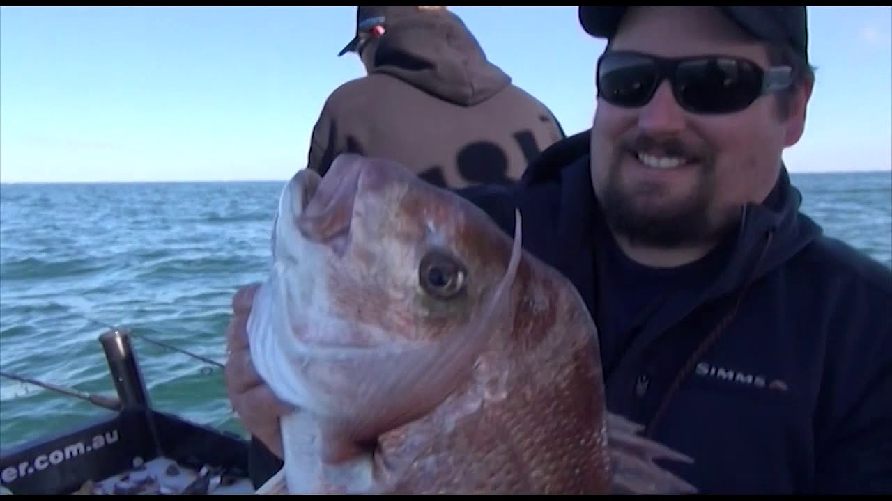 BEST SNAPPER BITE WE HAVE FILMED IN MELBOURNE!