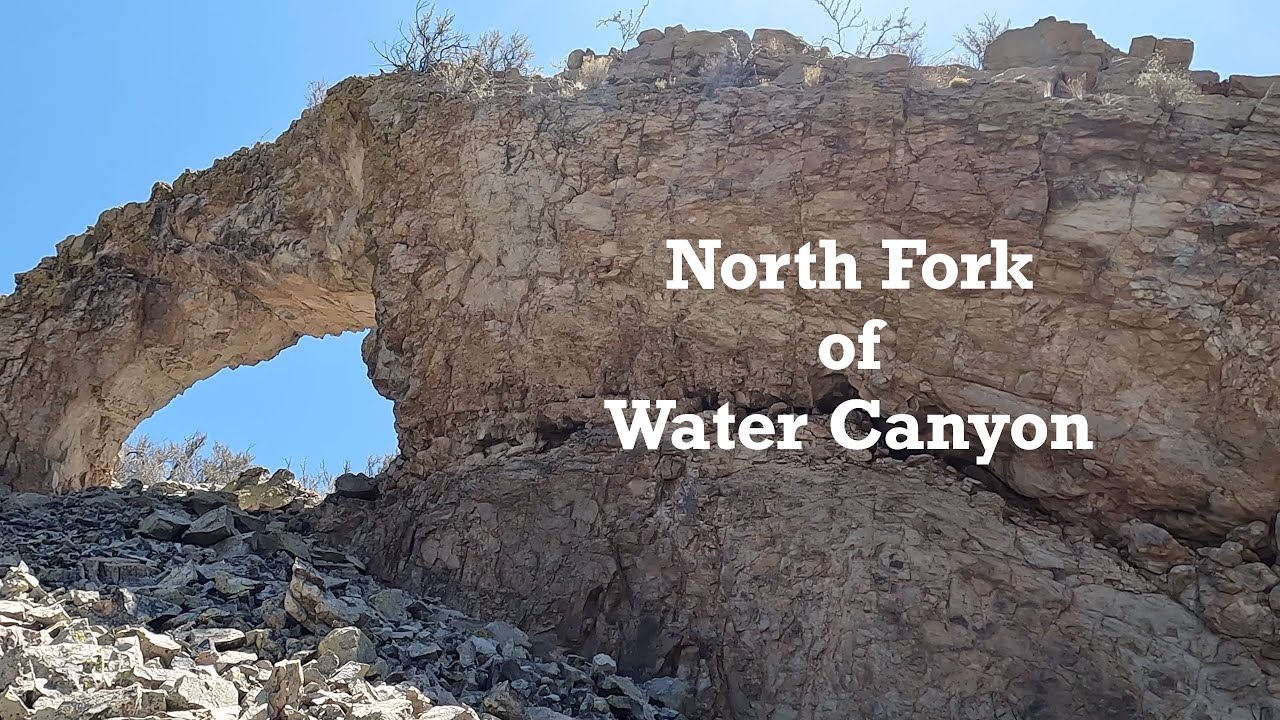 North Fork of Water Canyon - Magdalena Mountains, New Mexico