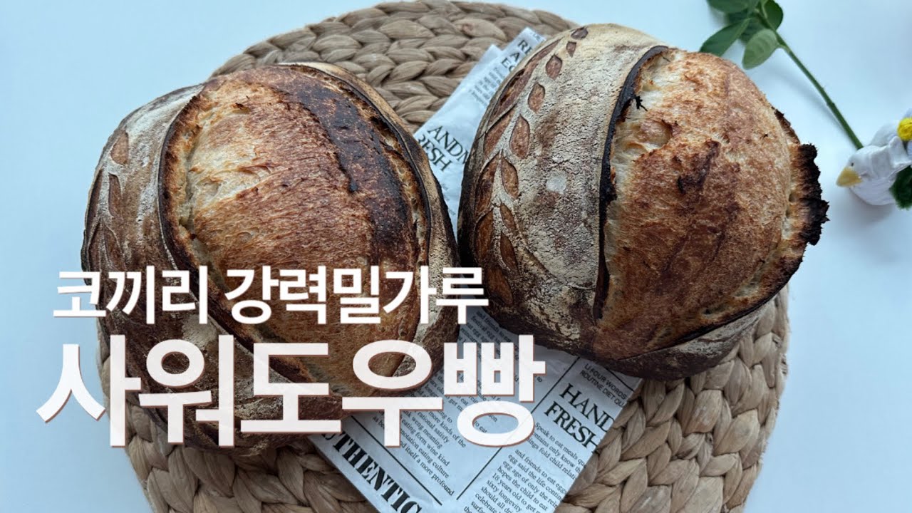 사워도우 입문자 추천! 코끼리 강력분으로 실패 없이 빵 굽는 법