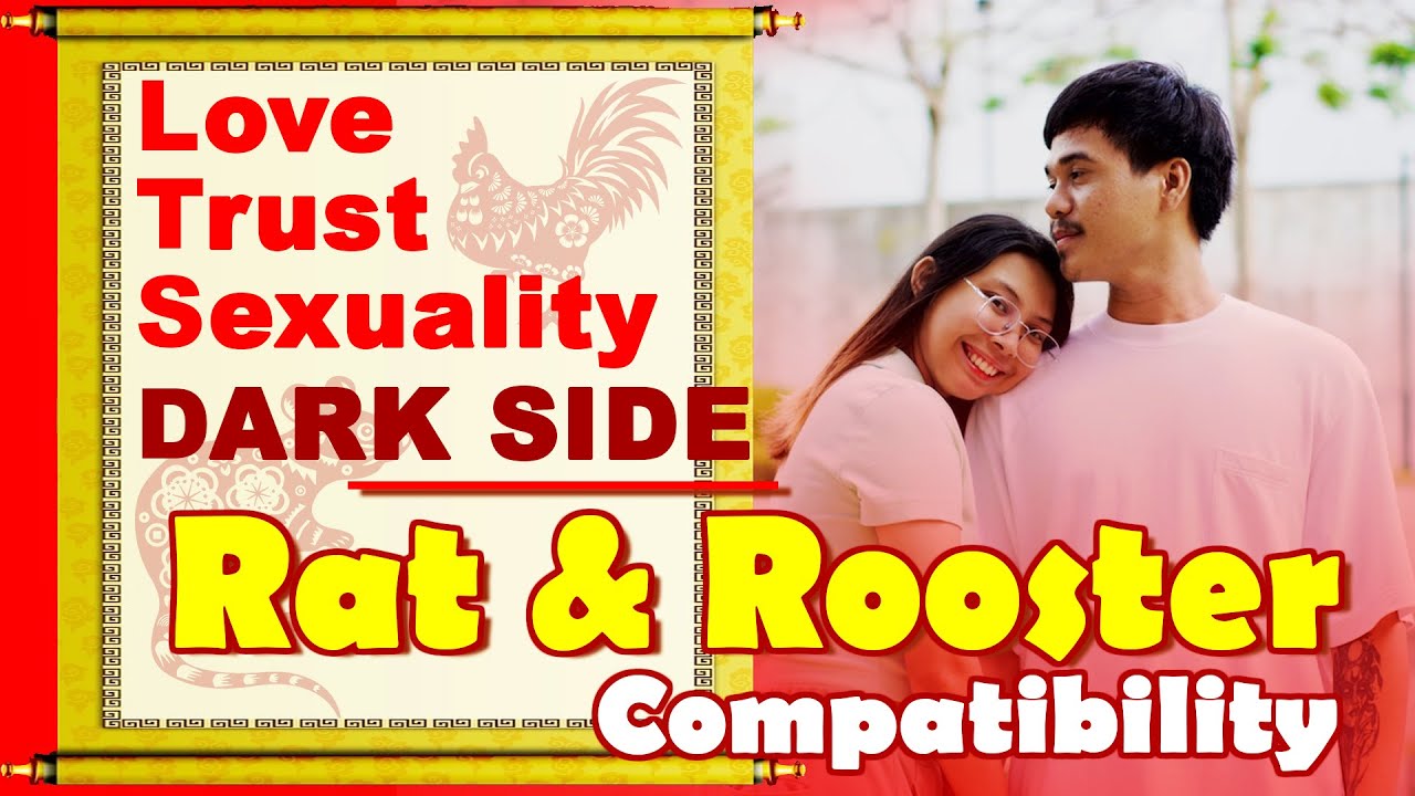 Rat and Rooster Compatibility in Love, Life, Trust, and Intimacy | Rat-Rooster Chinese Zodiac Compat