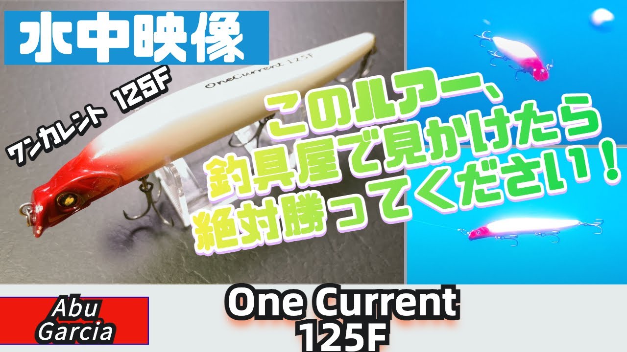 【水中映像】廃盤？村岡昌憲氏監修のワンカレント125Fがすごかった！【シーバス】【アブガルシア】