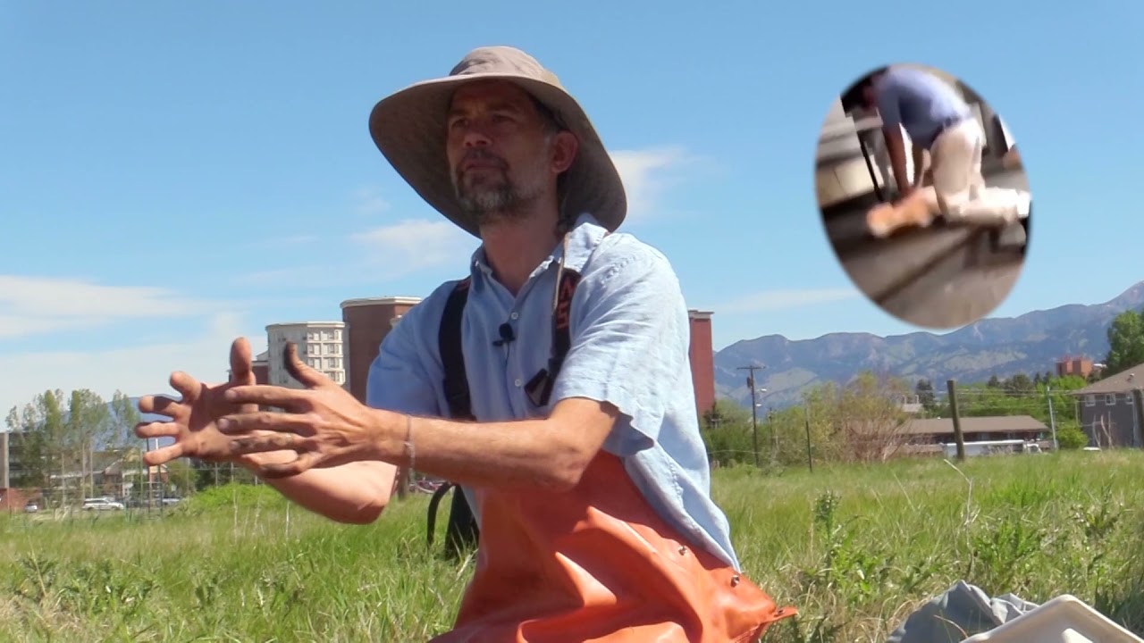 Hydric Soils: What is that?
