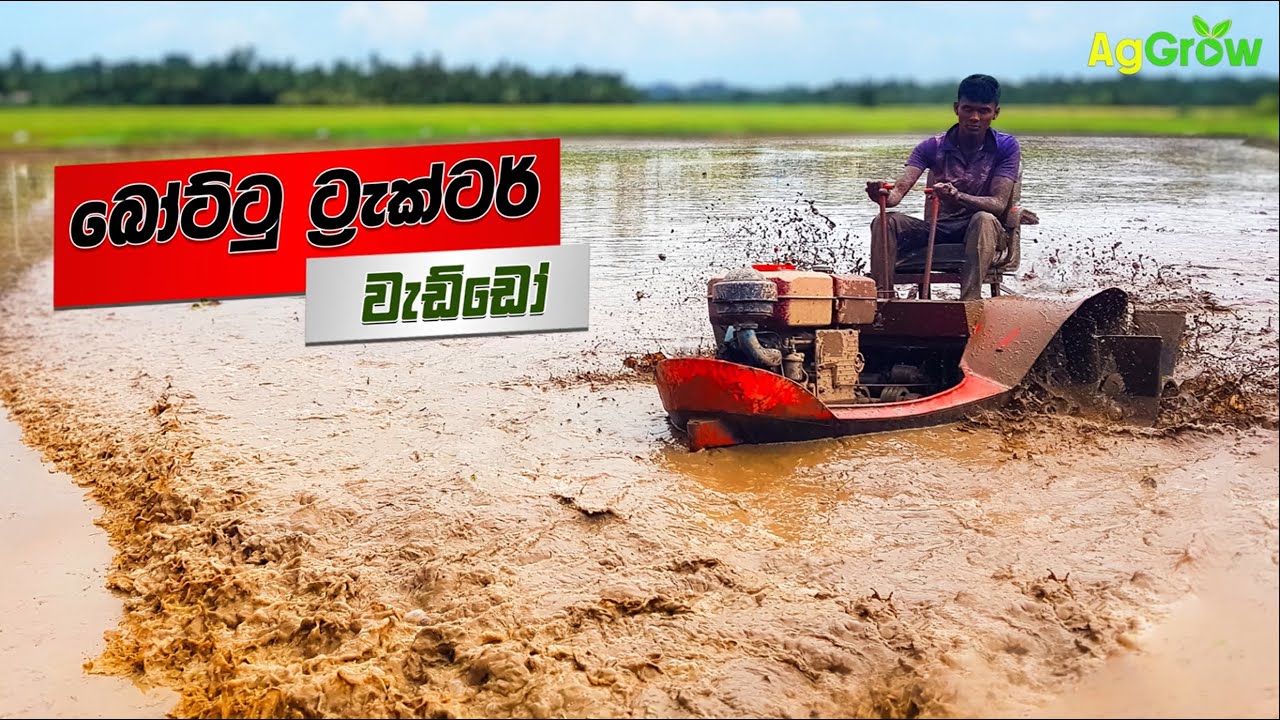 Boat Tractor | බෝට්ටු ට්‍රැක්ටර් වැඩකාරයෙක්ගේ අදහස් කිහිපයක් | Sri Lanka | Paddy field