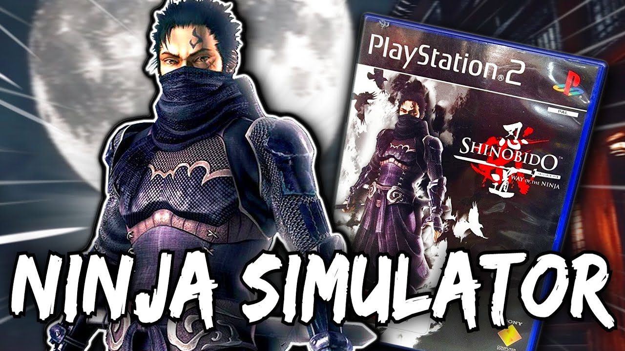 The Best NINJA SIMULATOR PS2 Game You Never Played