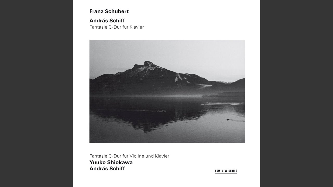 Schubert: Wanderer Fantasy in C Major, D. 760: I. Allegro con fuoco ma non troppo – II. Adagio...