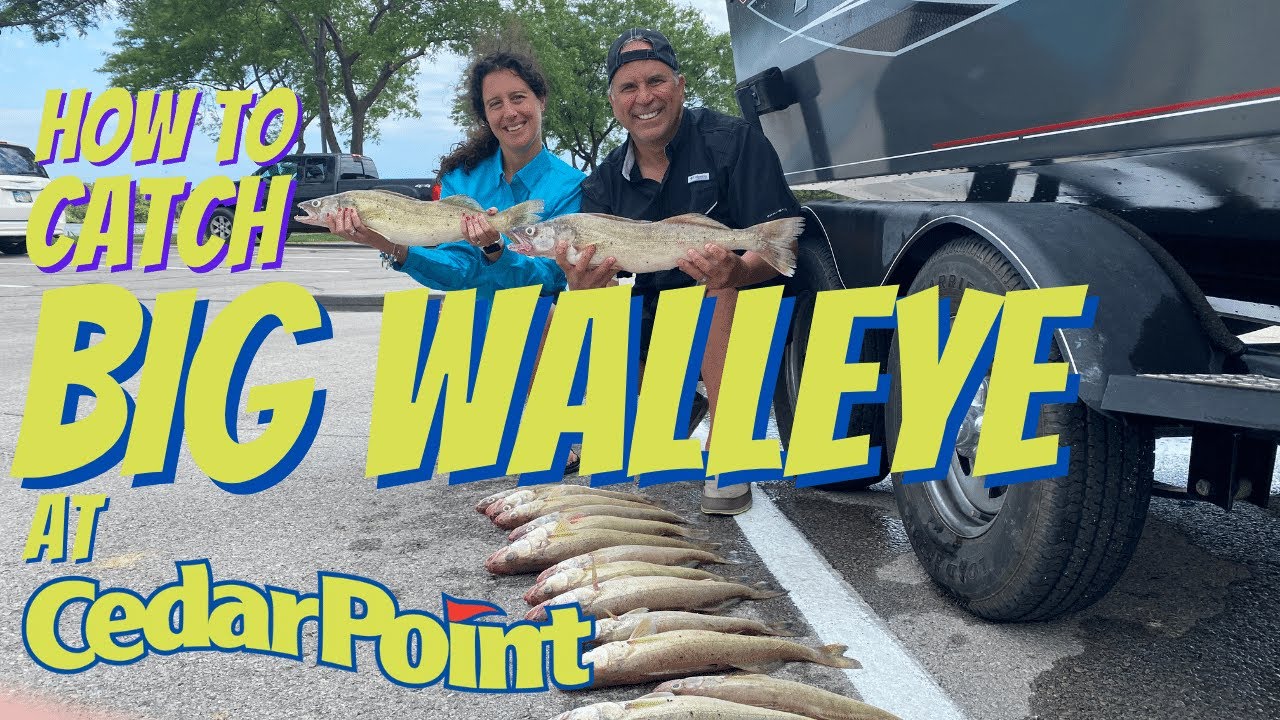 Big Walleye Fishing at Cedar Point | Lake Erie Charter Trip