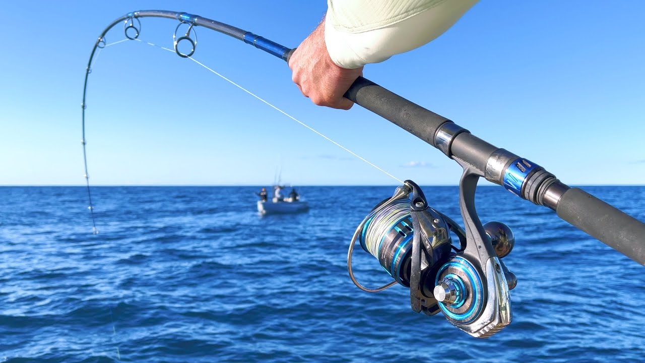 Daiwa Saltist MQ Spinning Reel